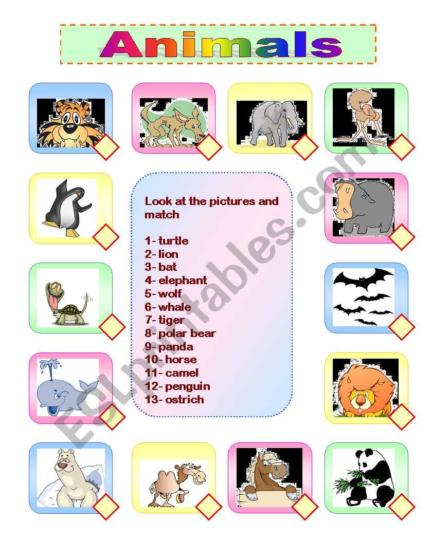 animals worksheet