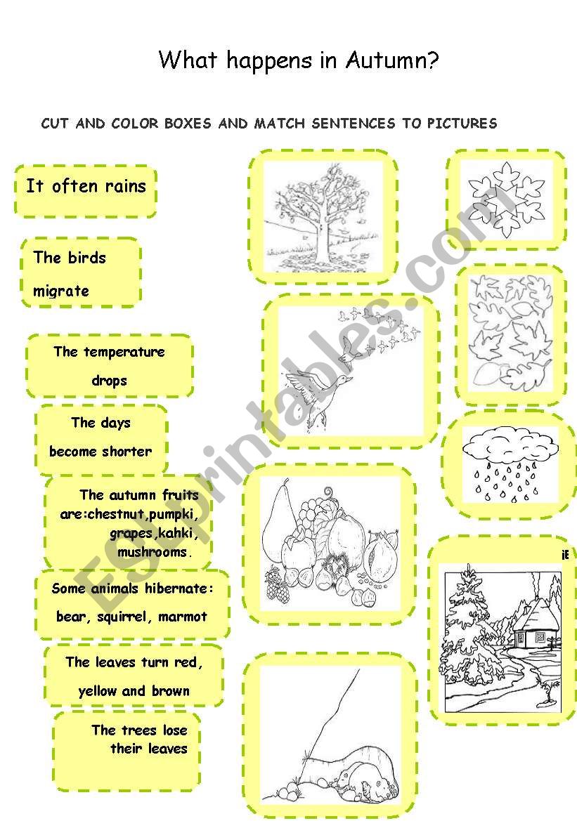 autumn 2 worksheet