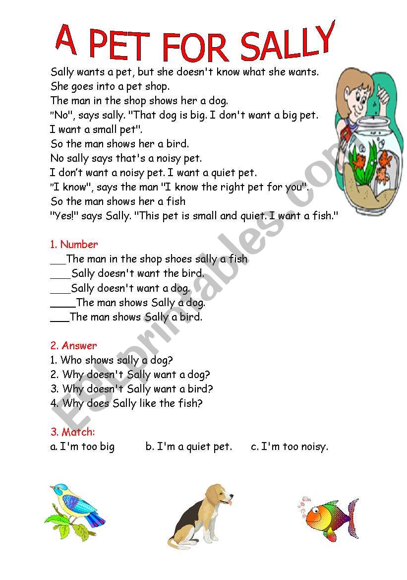Sallys pet  worksheet