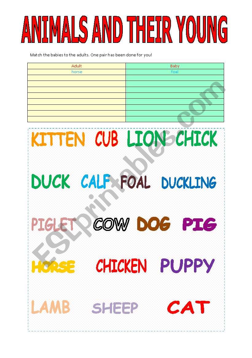Adult animals and their young matching worksheet