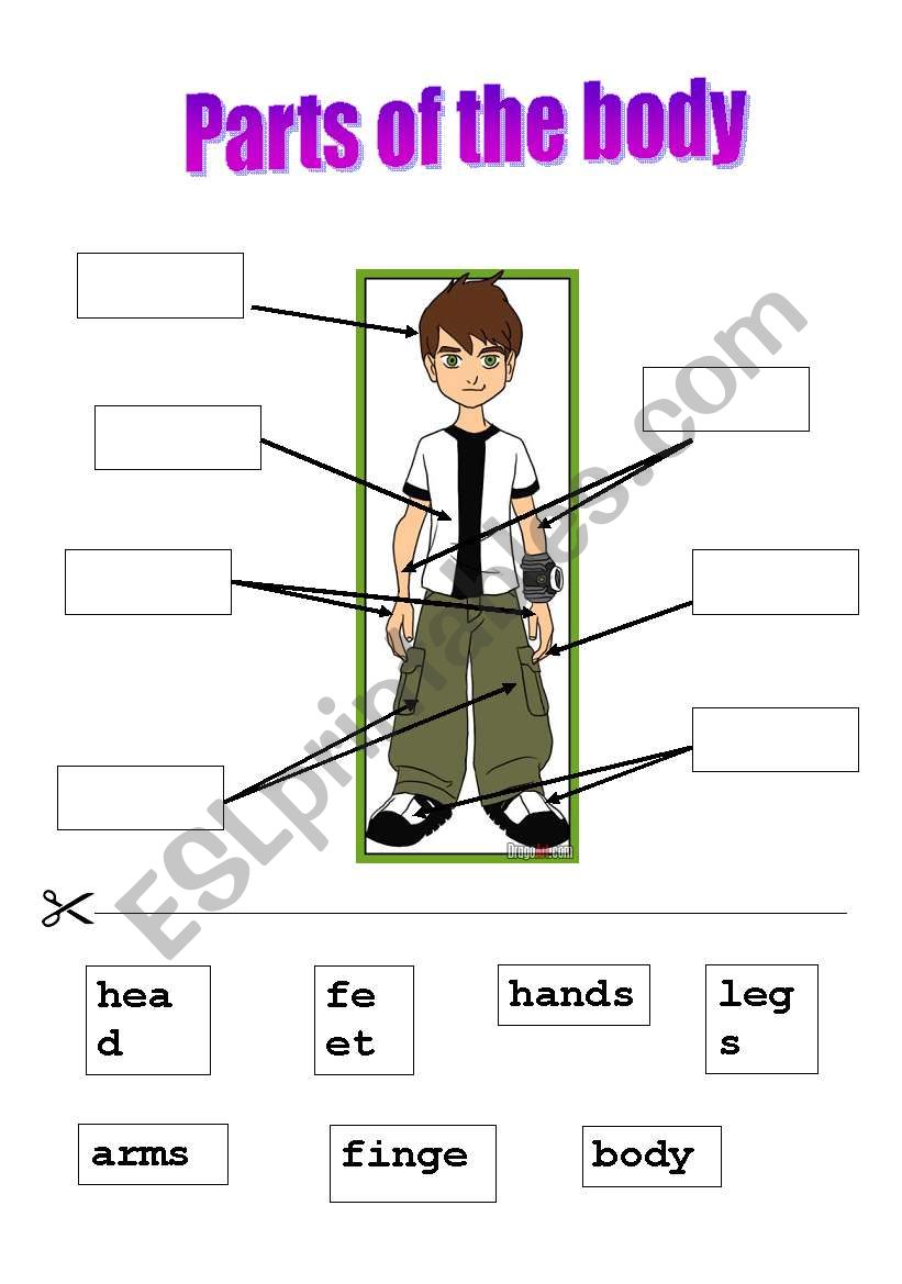 body worksheet