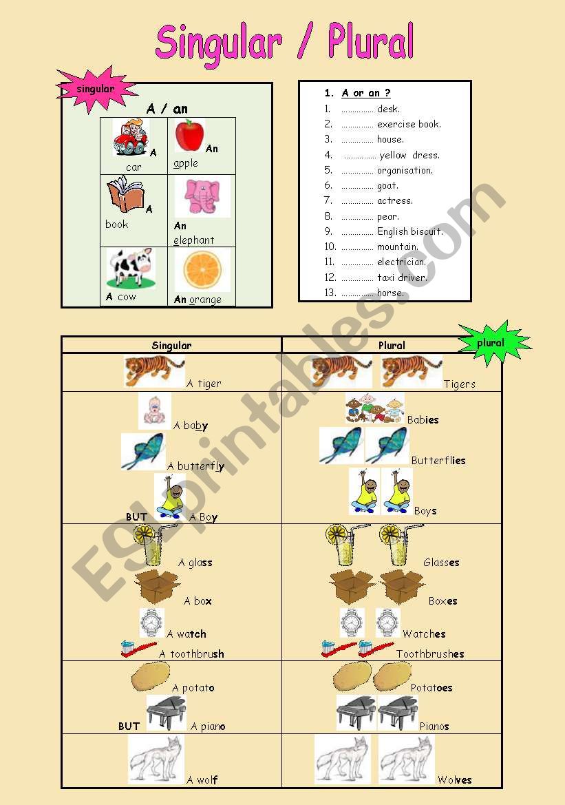 Singular / plural worksheet