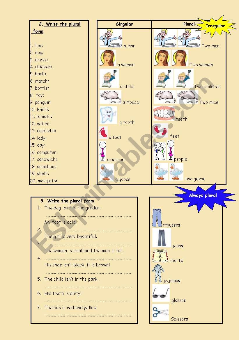 Singular  / Plural worksheet