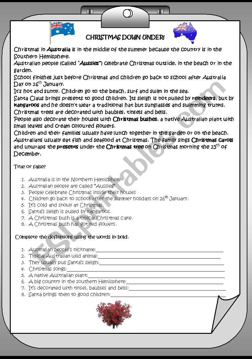 Christmas in Australia worksheet