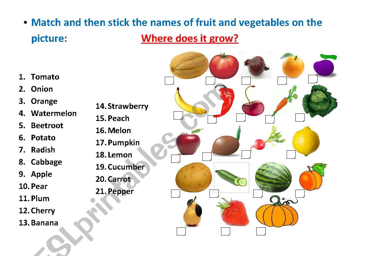 Fruit & Vegetables worksheet