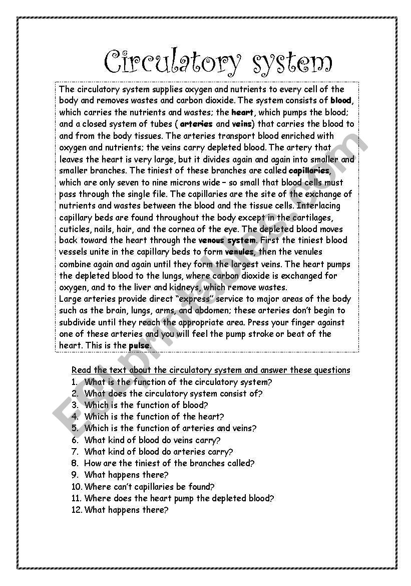 Circulatory system worksheet