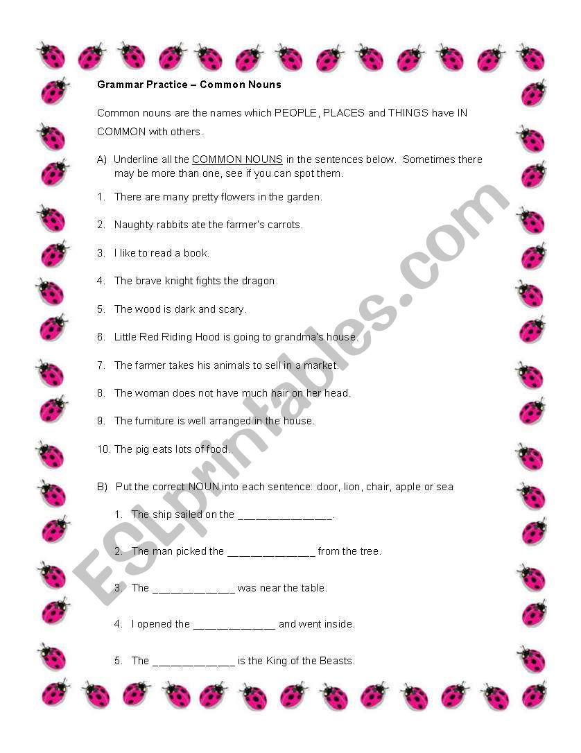 Grammar Practice - Common Nouns