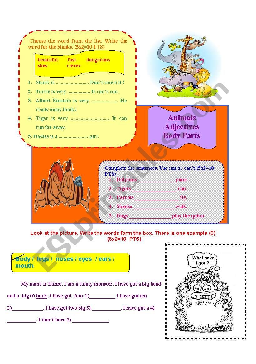 animal, body part and adjectives worksheet