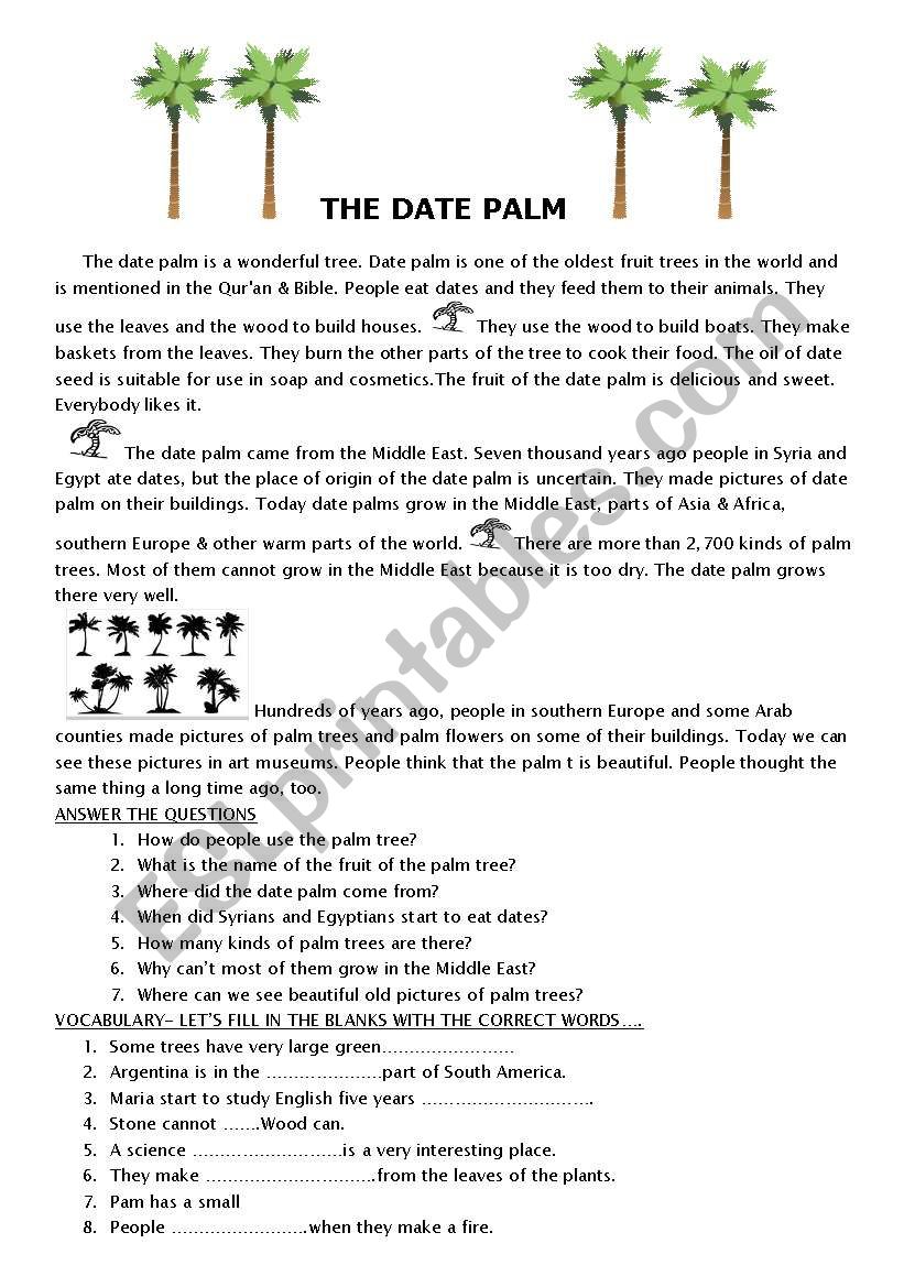 THE DATE PALM worksheet