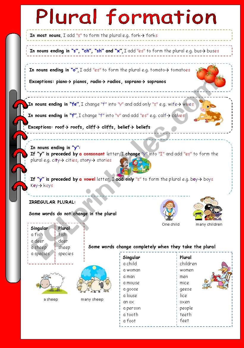 plural formation  worksheet