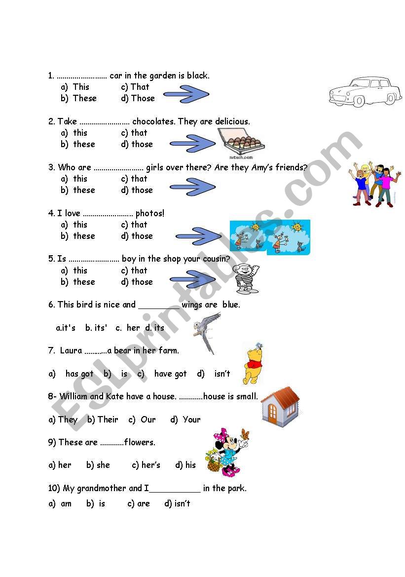 Quiz for beginners worksheet