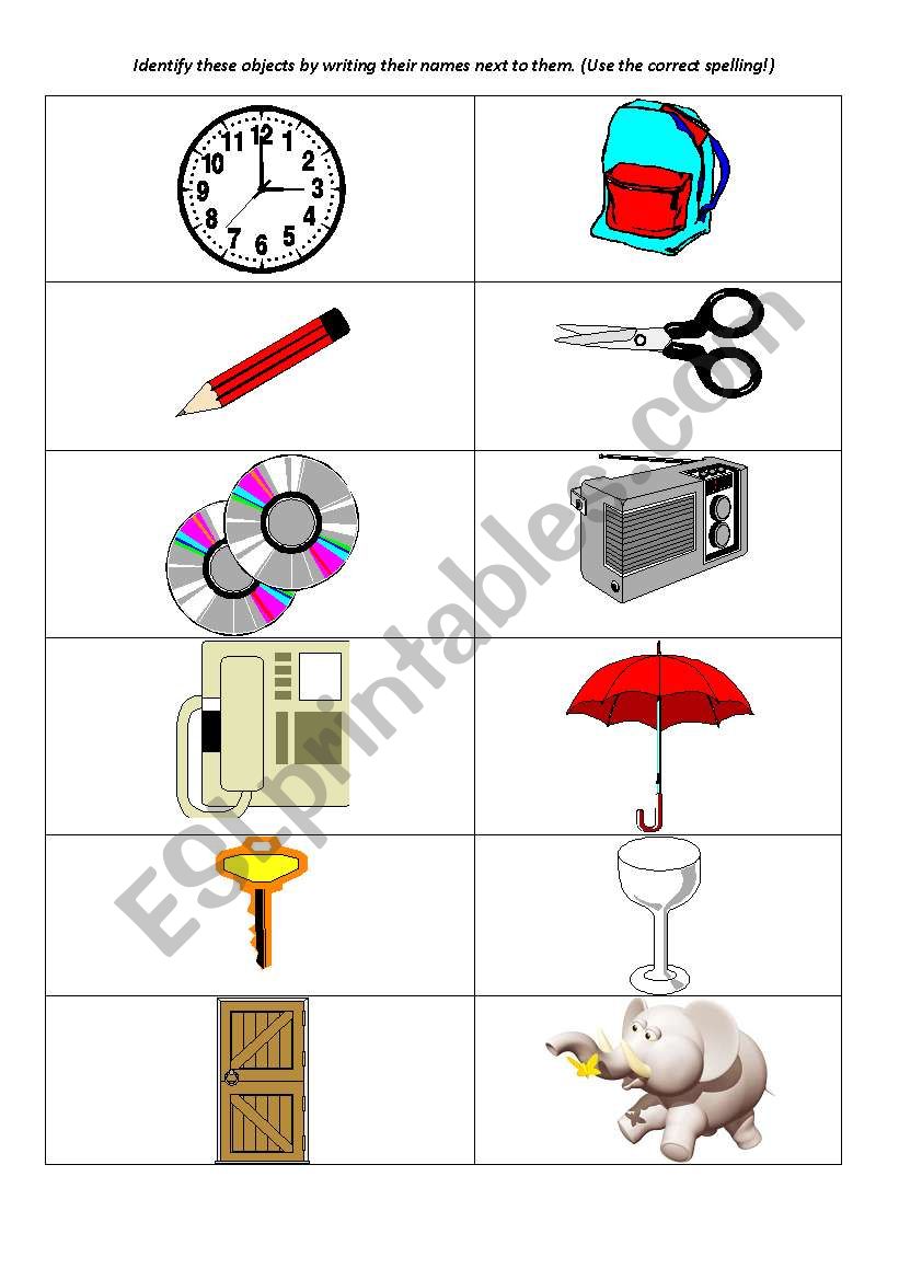 identify objects and animals worksheet