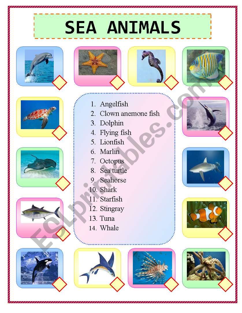 Sea Animals worksheet