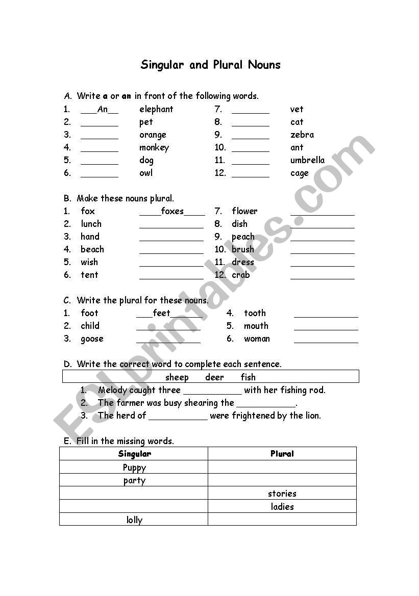 singular and plural noun worksheet