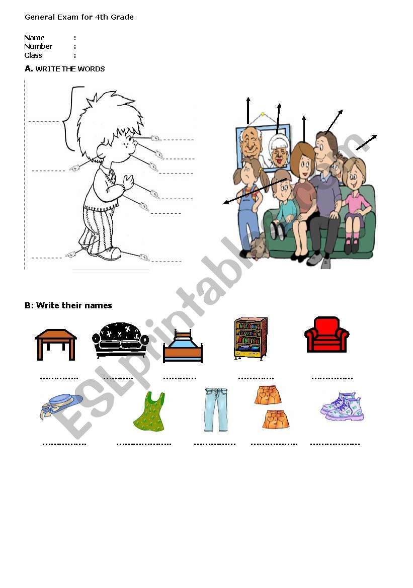 body parts and clothes worksheet