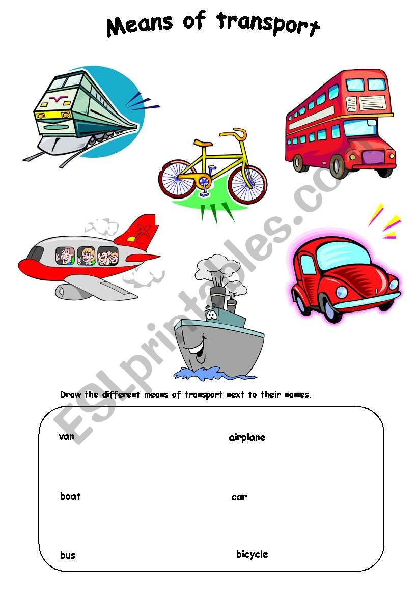 Transport worksheet