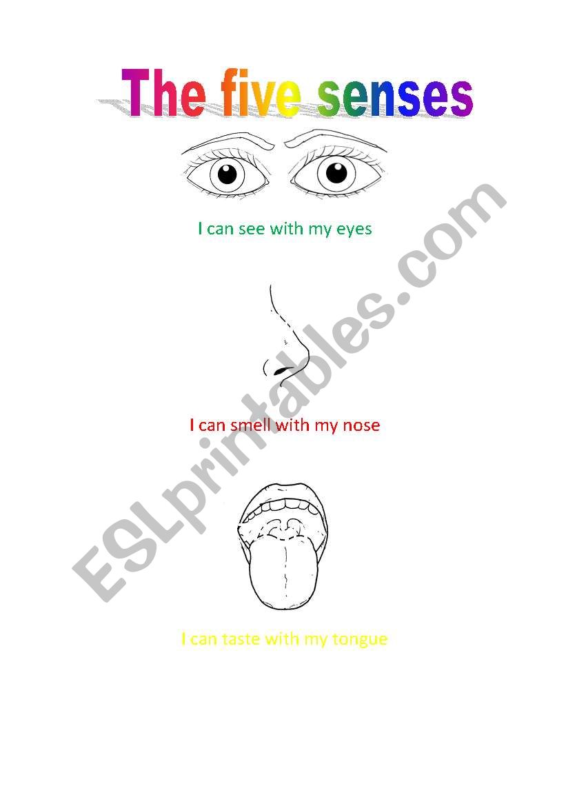 THE FIVE SENSES worksheet