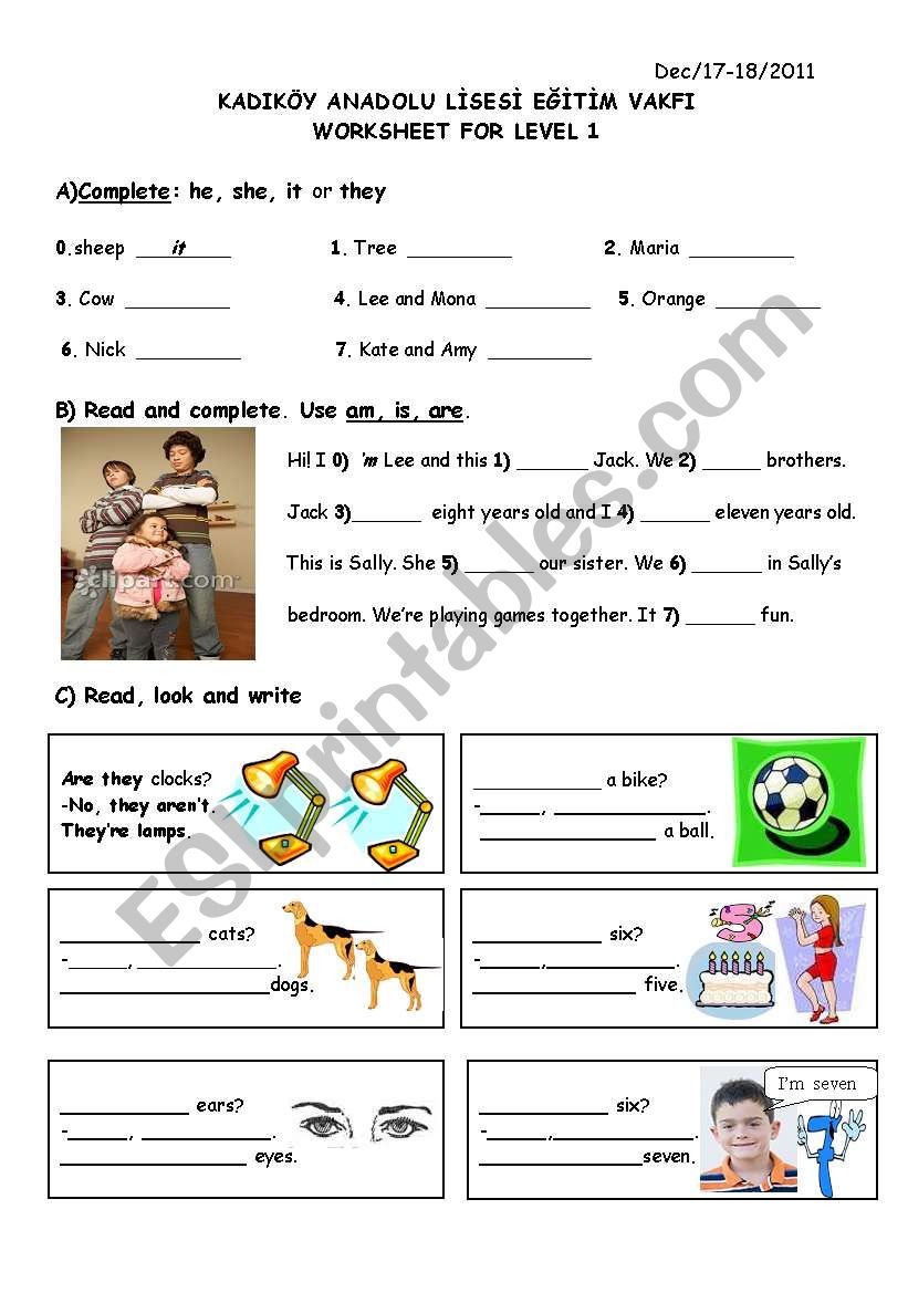 worksheet worksheet