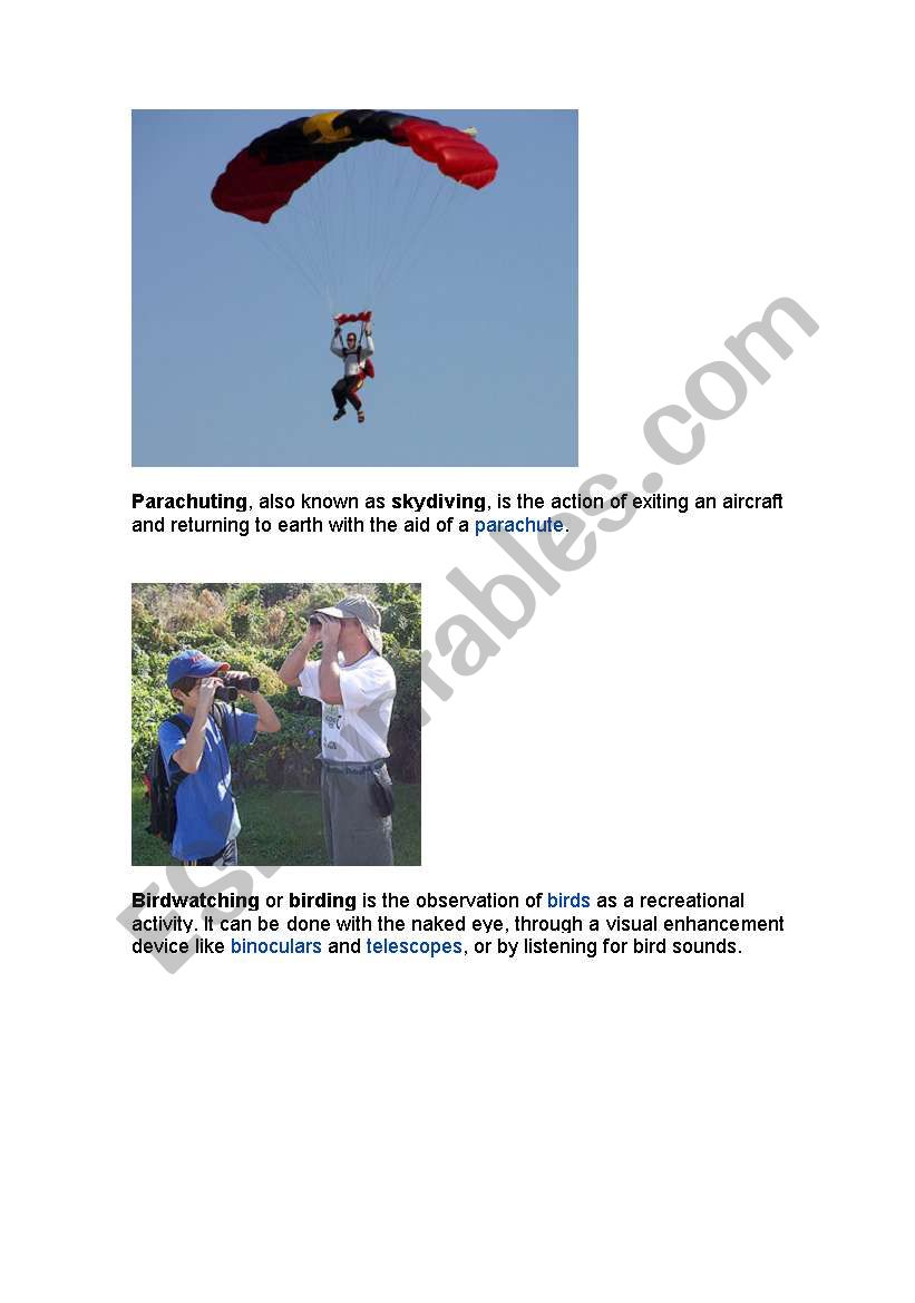 Introduction to sports worksheet