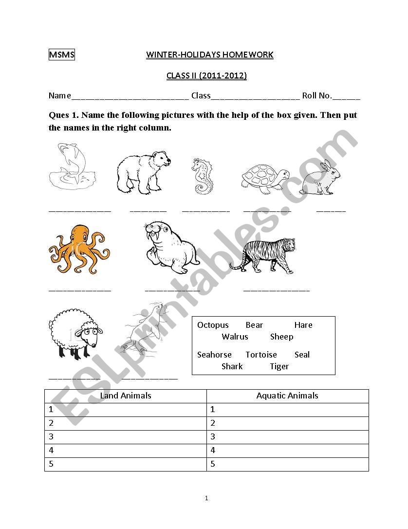 Holidays Homework worksheet