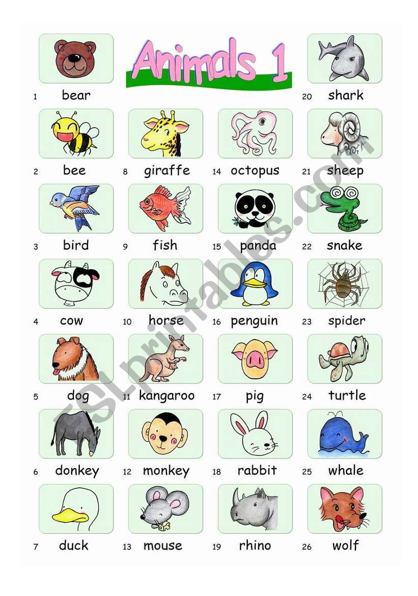 Pictionary***Animals 1 worksheet