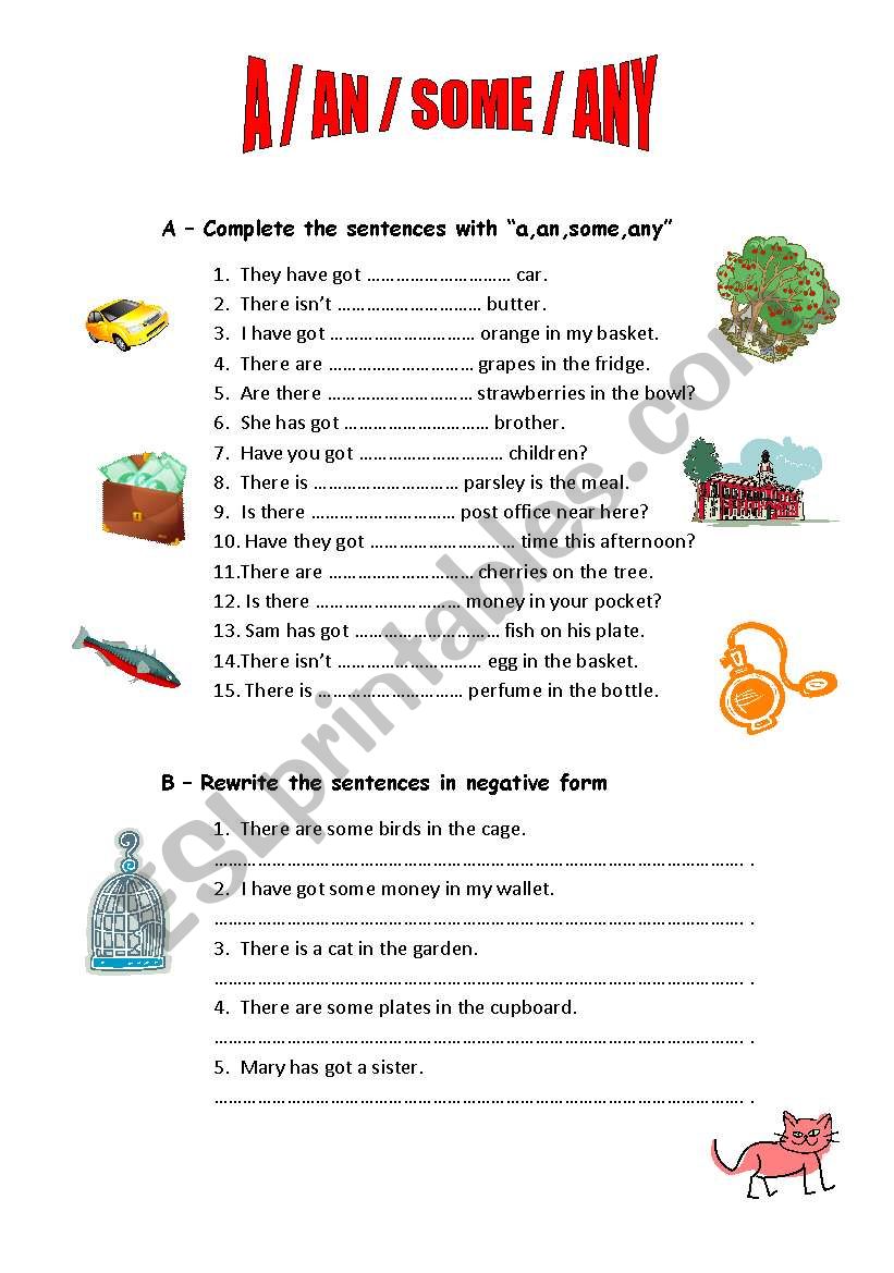 QUANTIFIERS: A/AN/SOME/ANY/HOW MUCH/HOW MANY