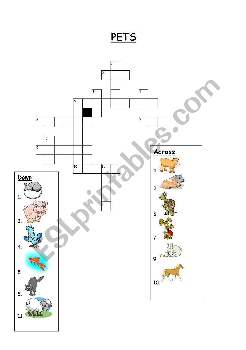 Pets crossword puzzle worksheet