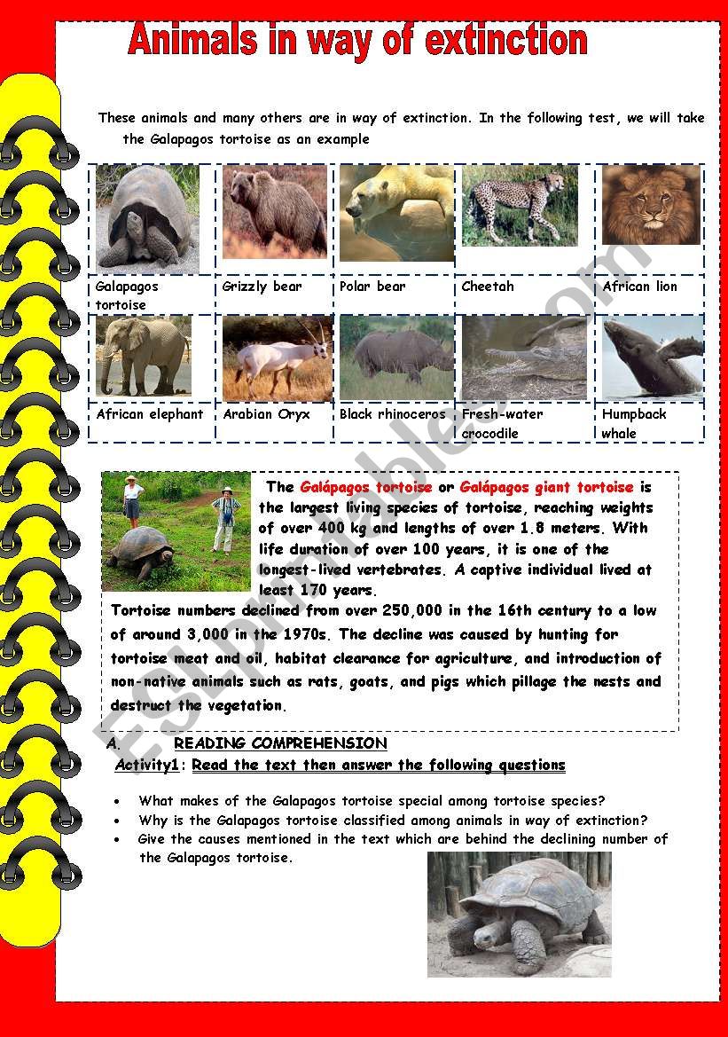 animals in way of extinction worksheet