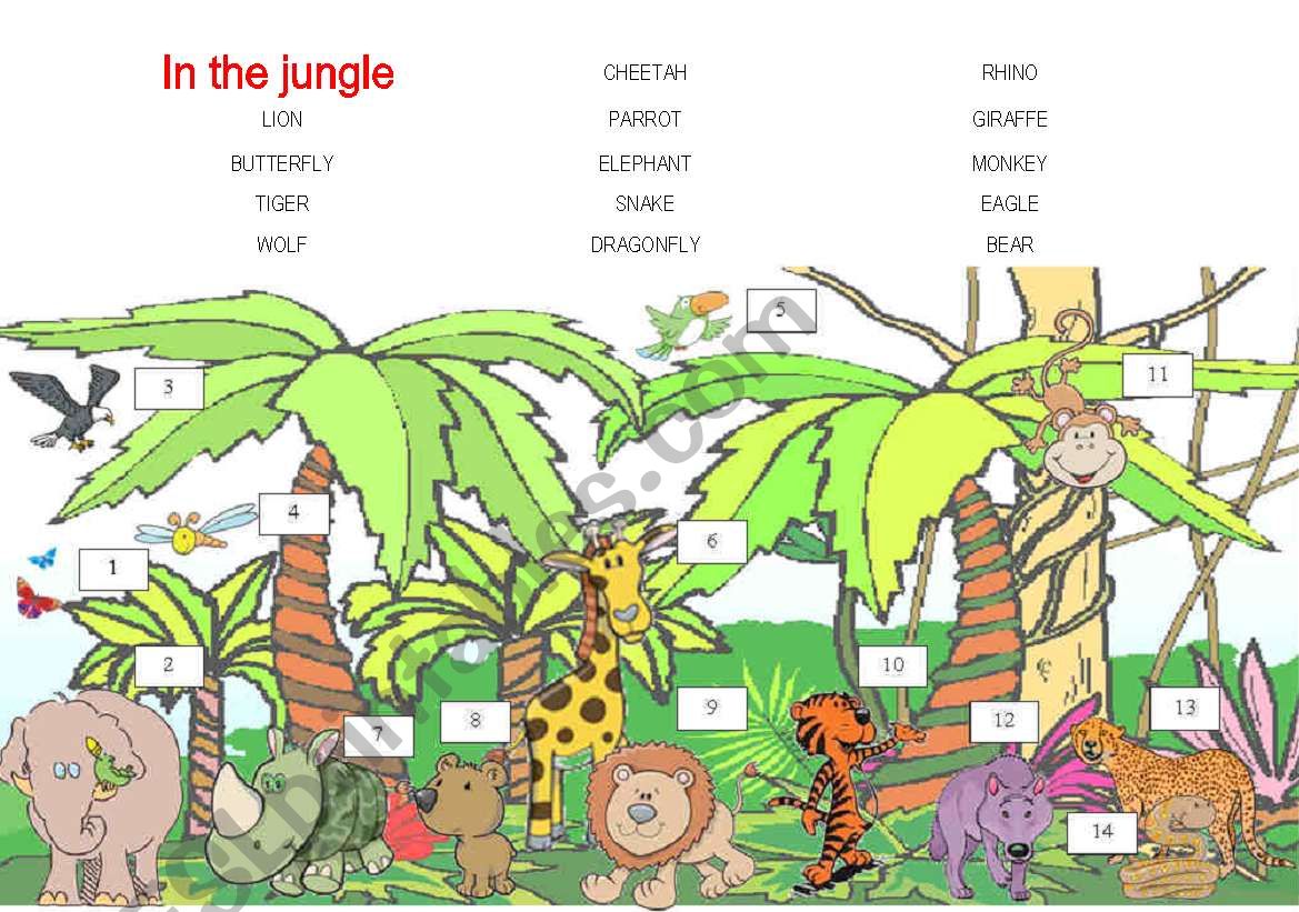 in the jungle worksheet