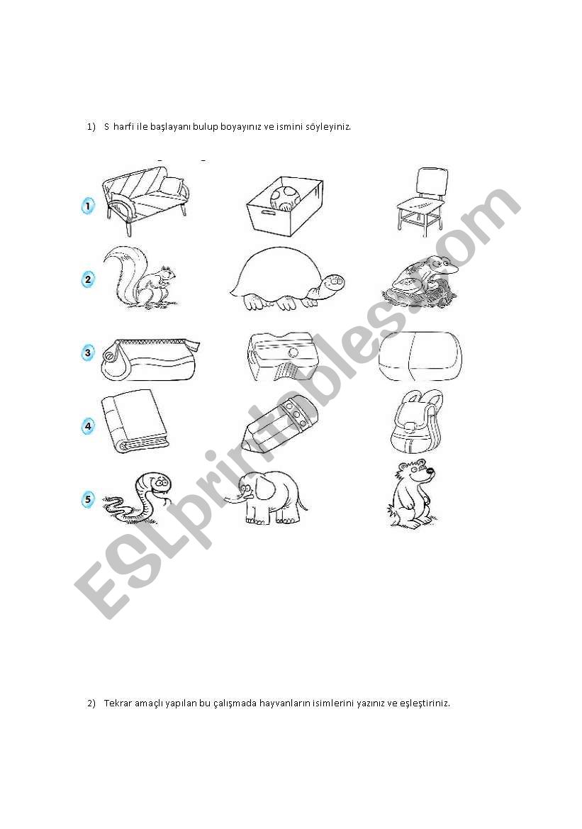 animals worksheet