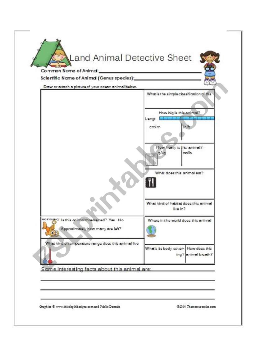 animals worksheet