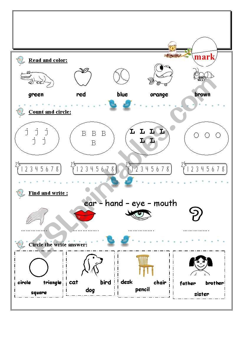 test worksheet