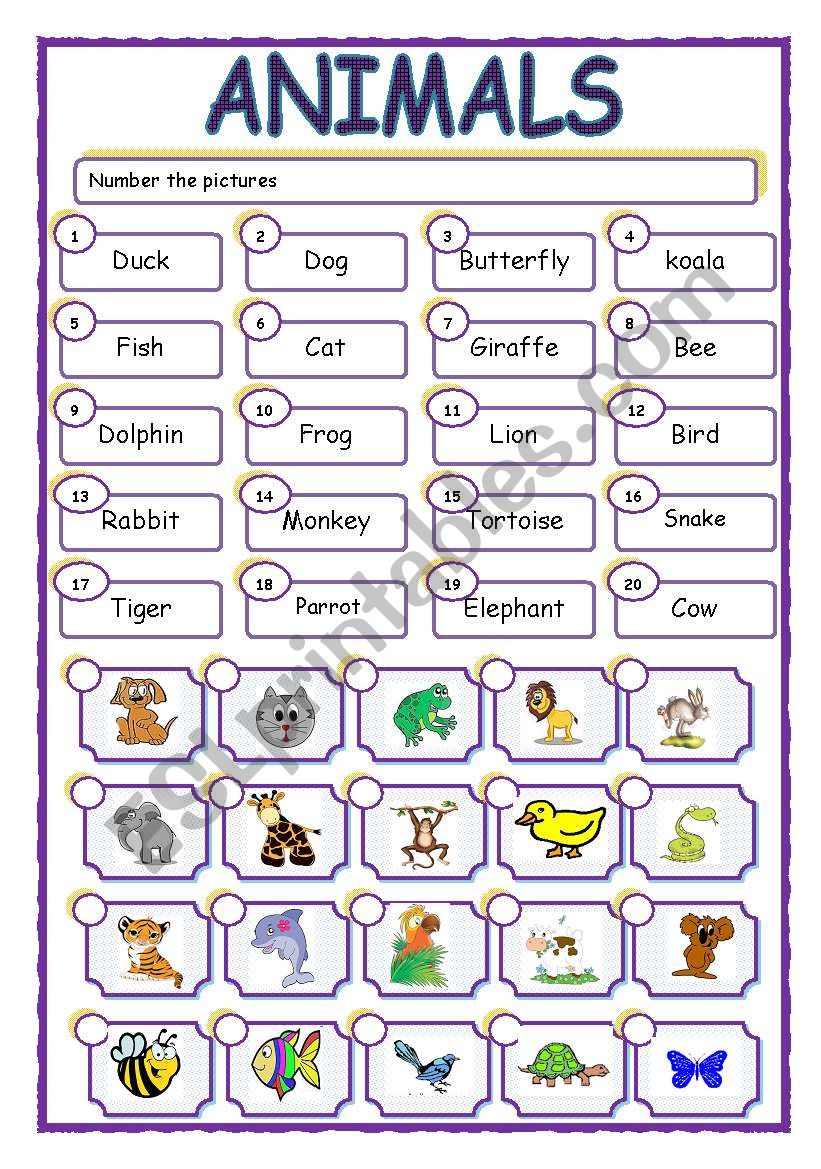 animal matching worksheet