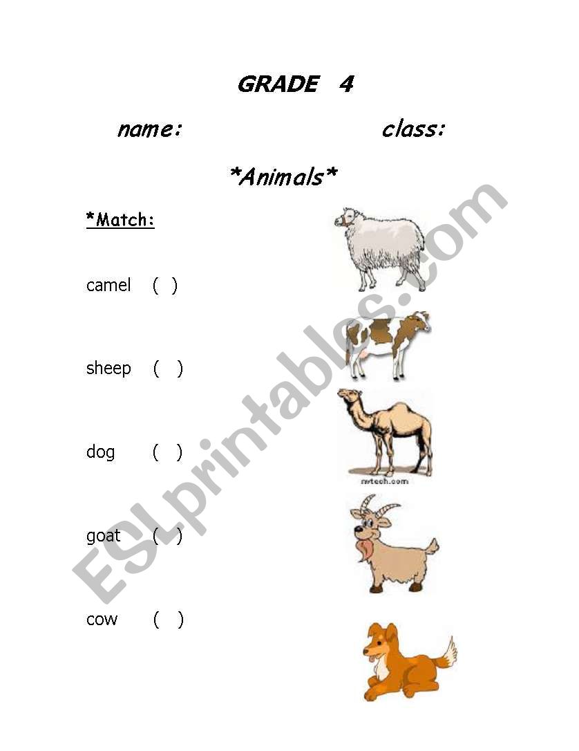animals in the country worksheet