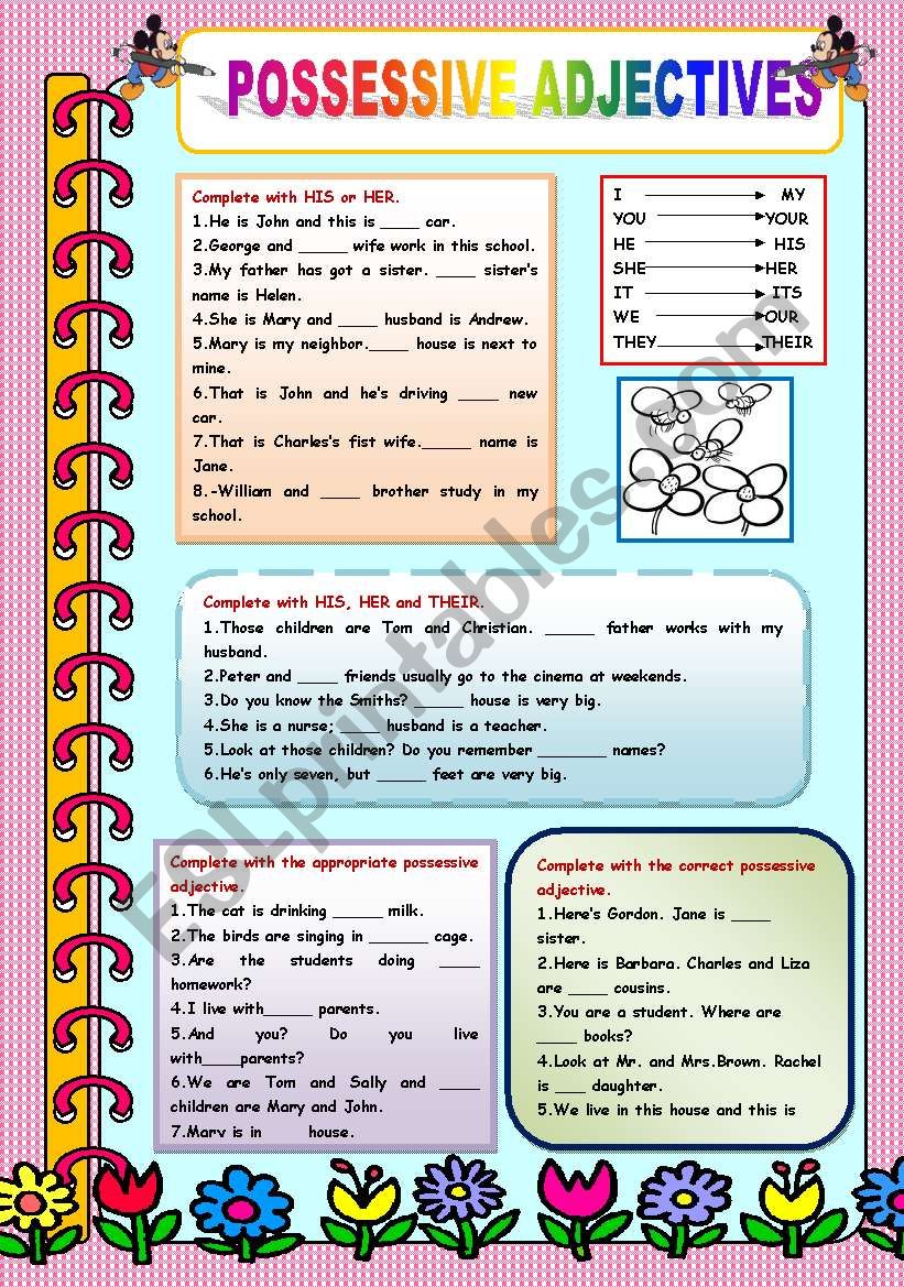 Possessive Adjectives worksheet