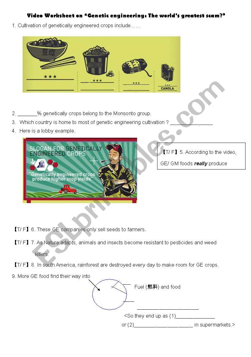 Video Worksheet on Genetic engineering: The worlds greatest scam?