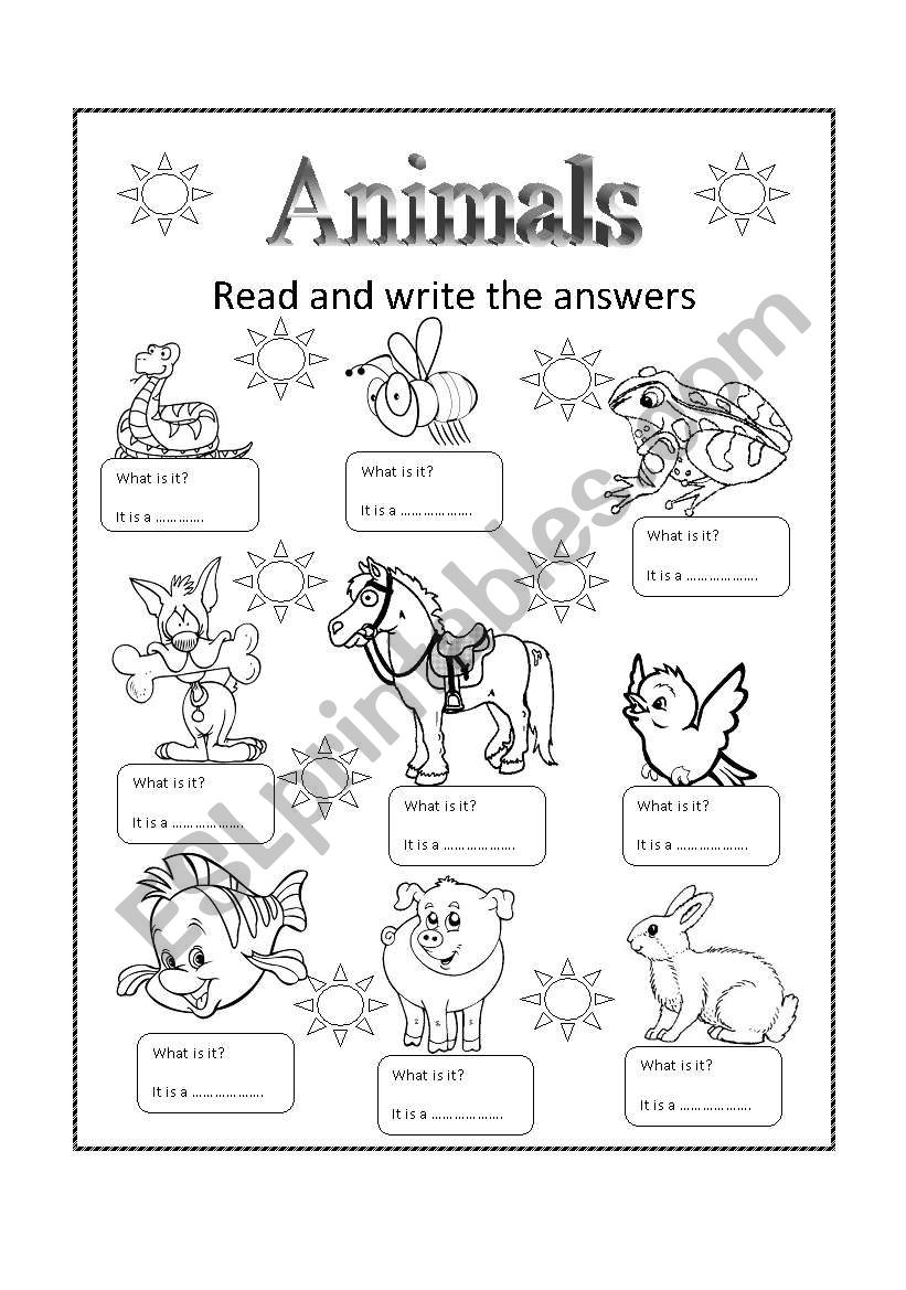 ANIMALS worksheet