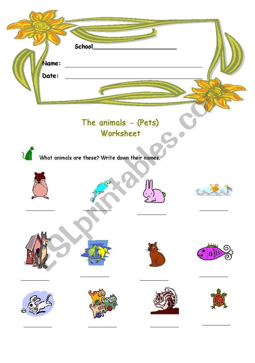 pets worksheet worksheet