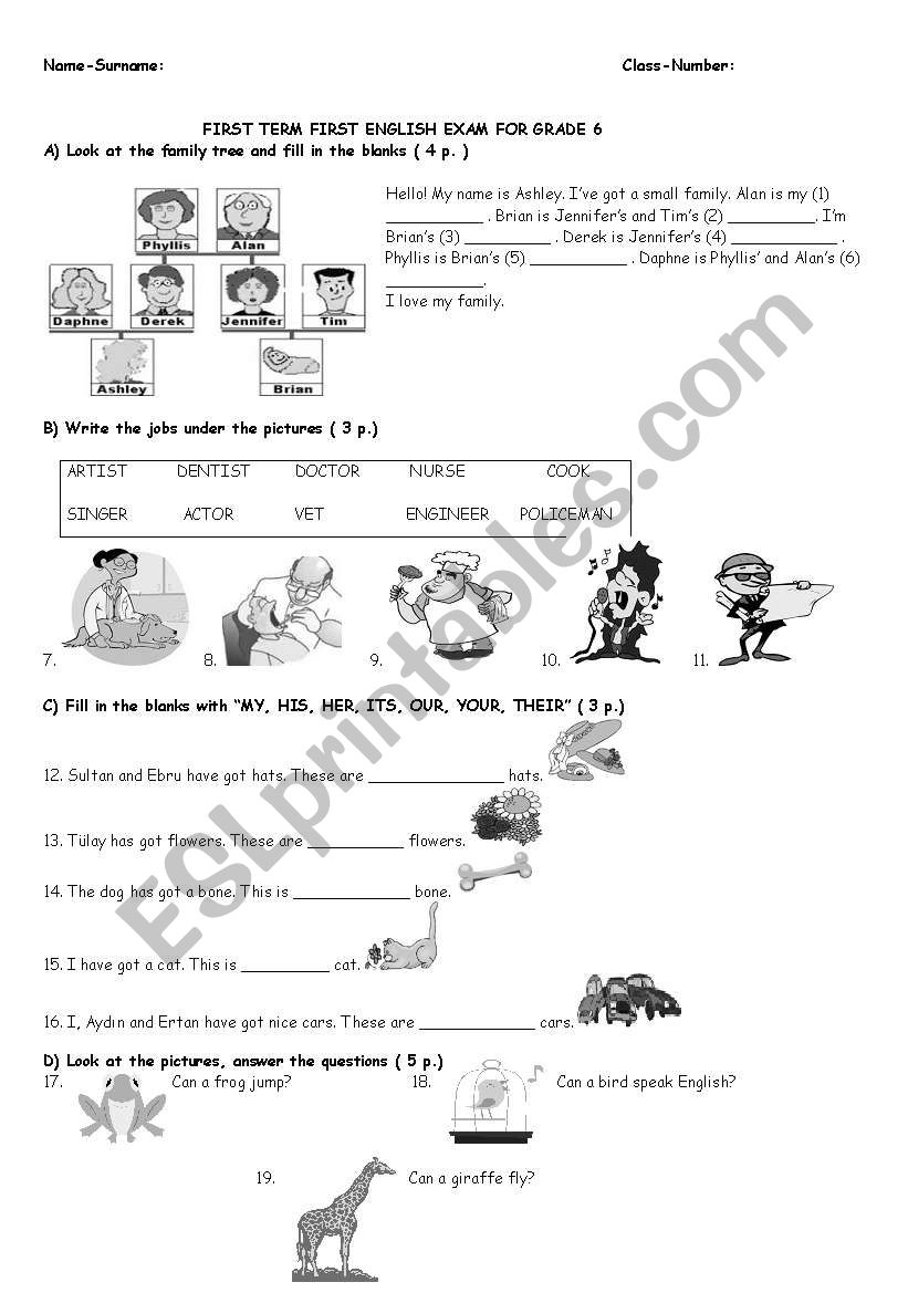 6th grade worksheet worksheet