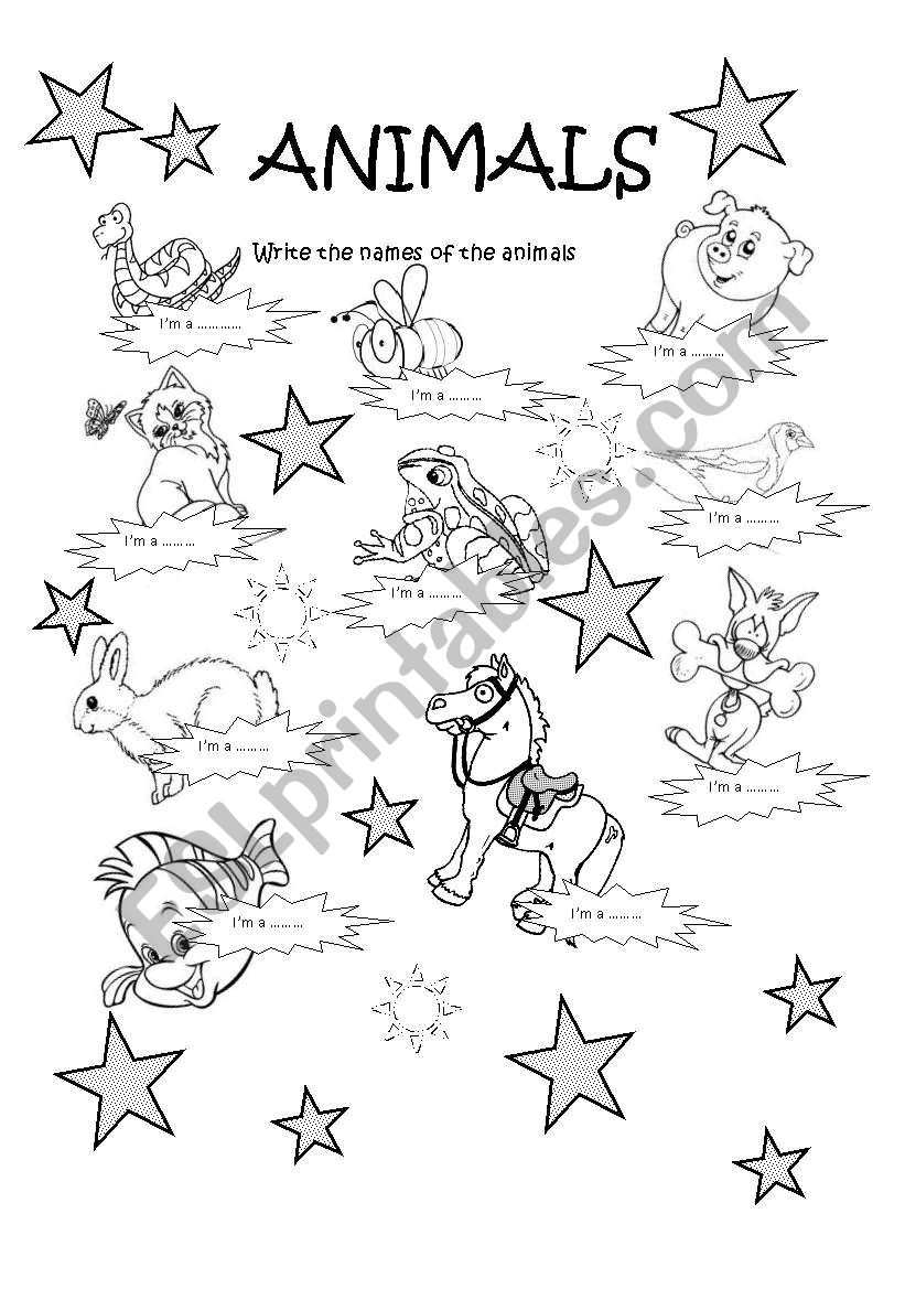 ANIMALS worksheet