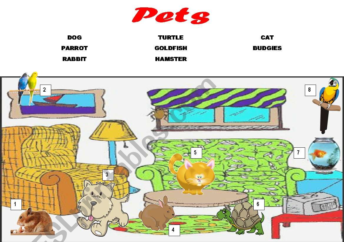 pets worksheet