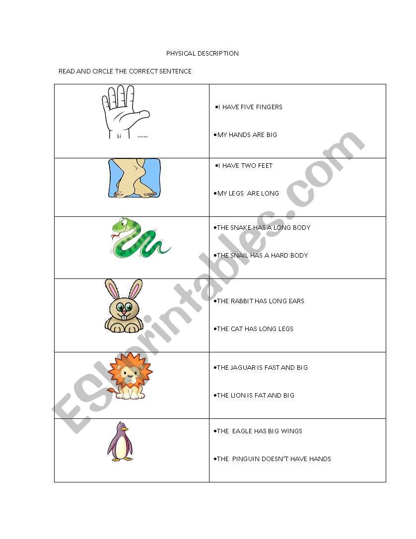 PHYSICAL DESCRIPTION  worksheet