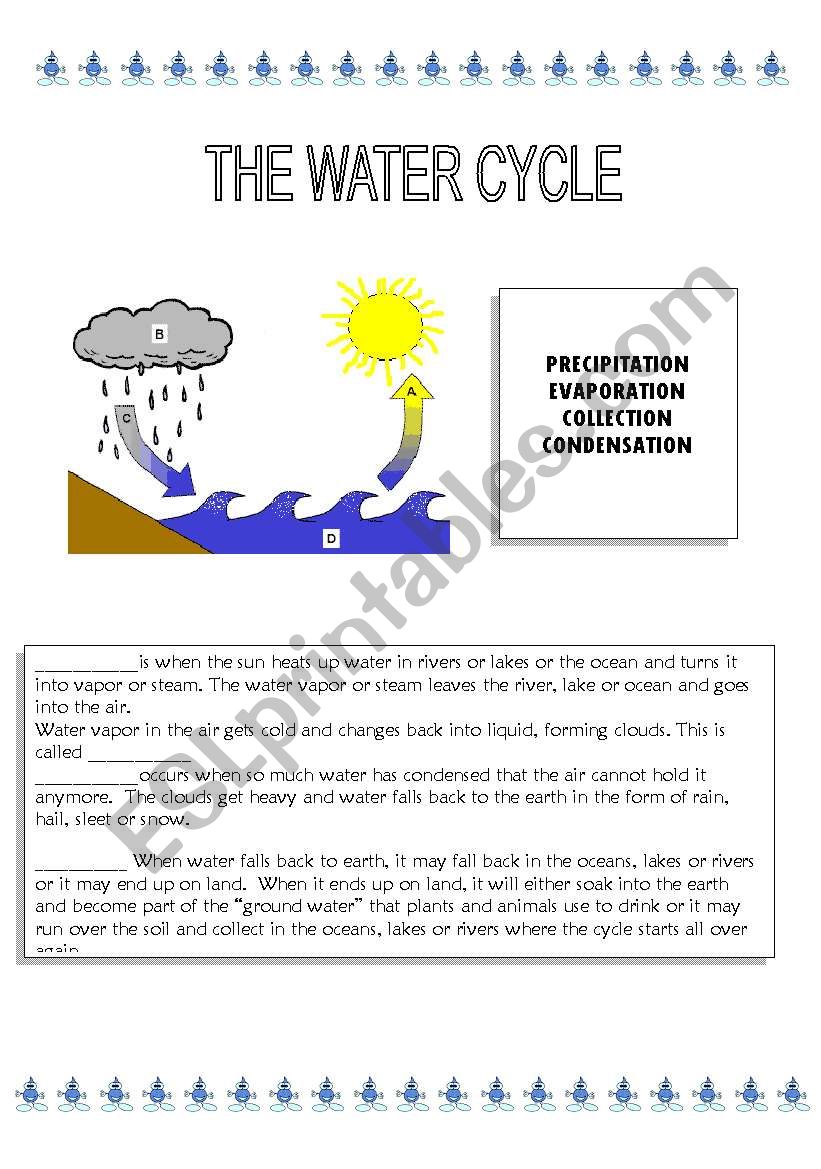 The water cycle worksheet