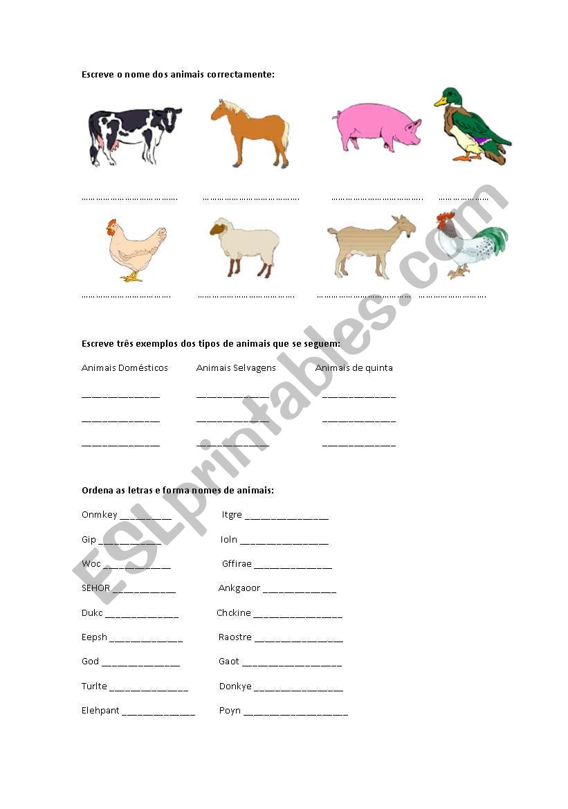 Animals worksheet worksheet