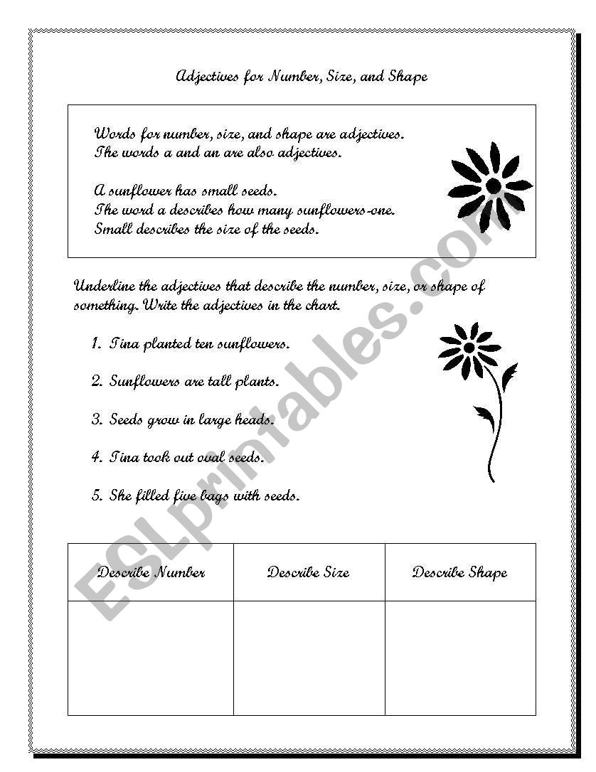 adjectives in english worksheet
