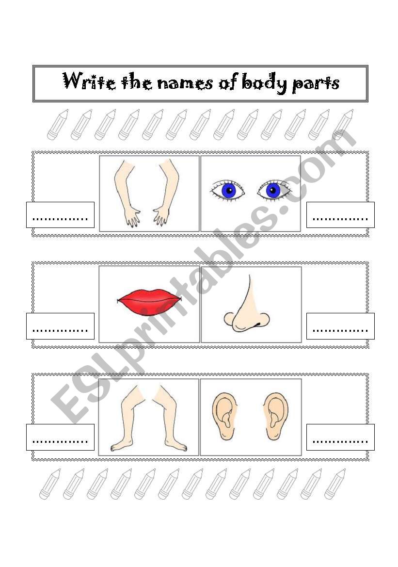 BODY PARTS worksheet