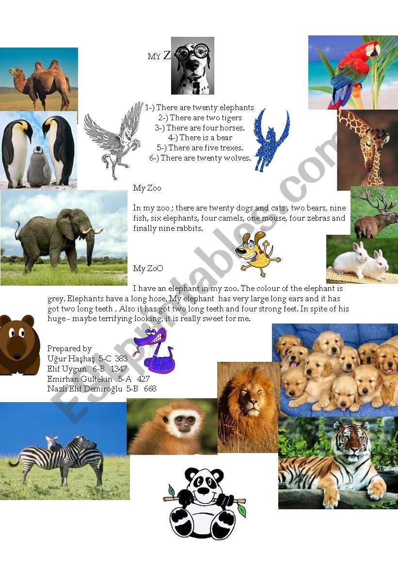 My zoo worksheet