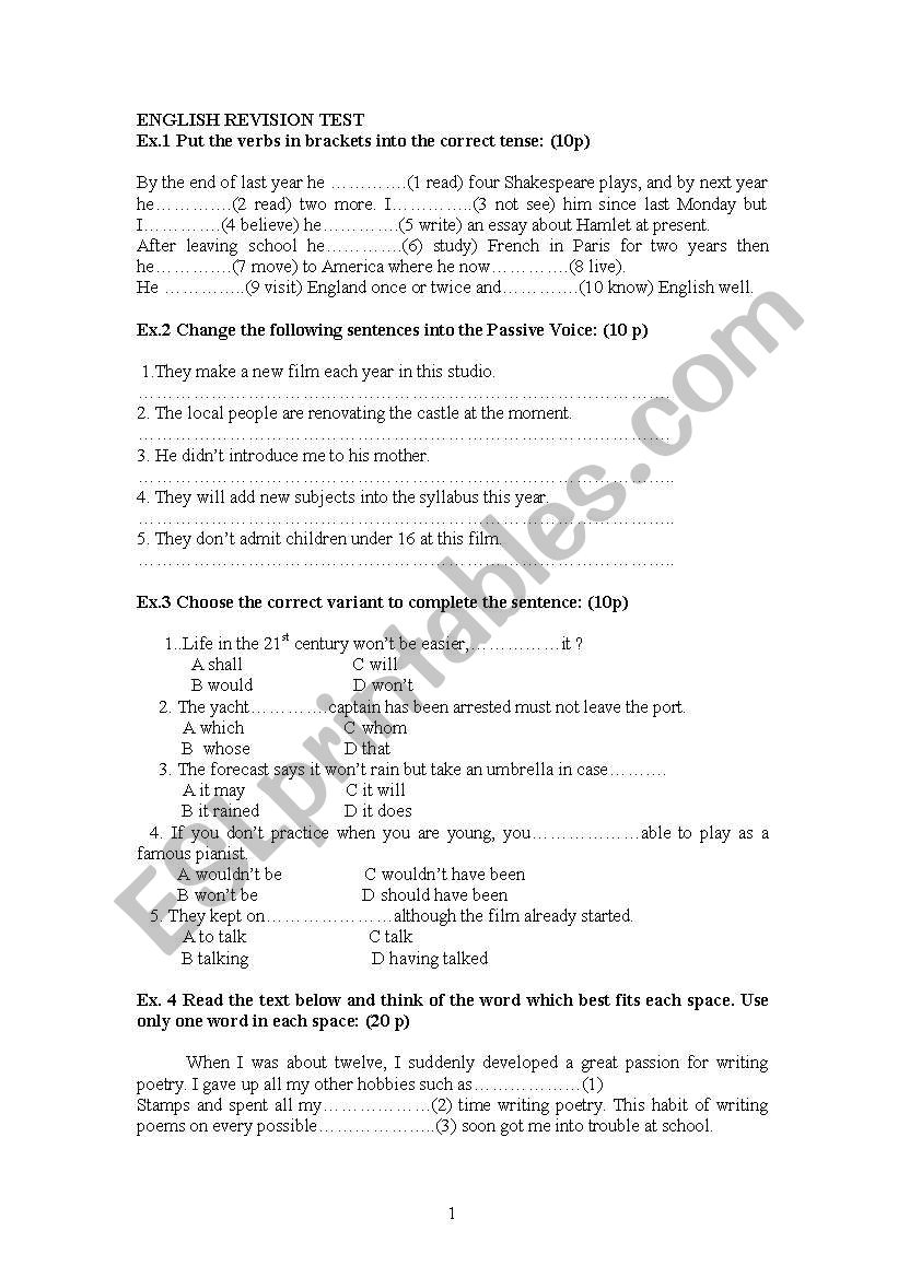 English Revision Test worksheet