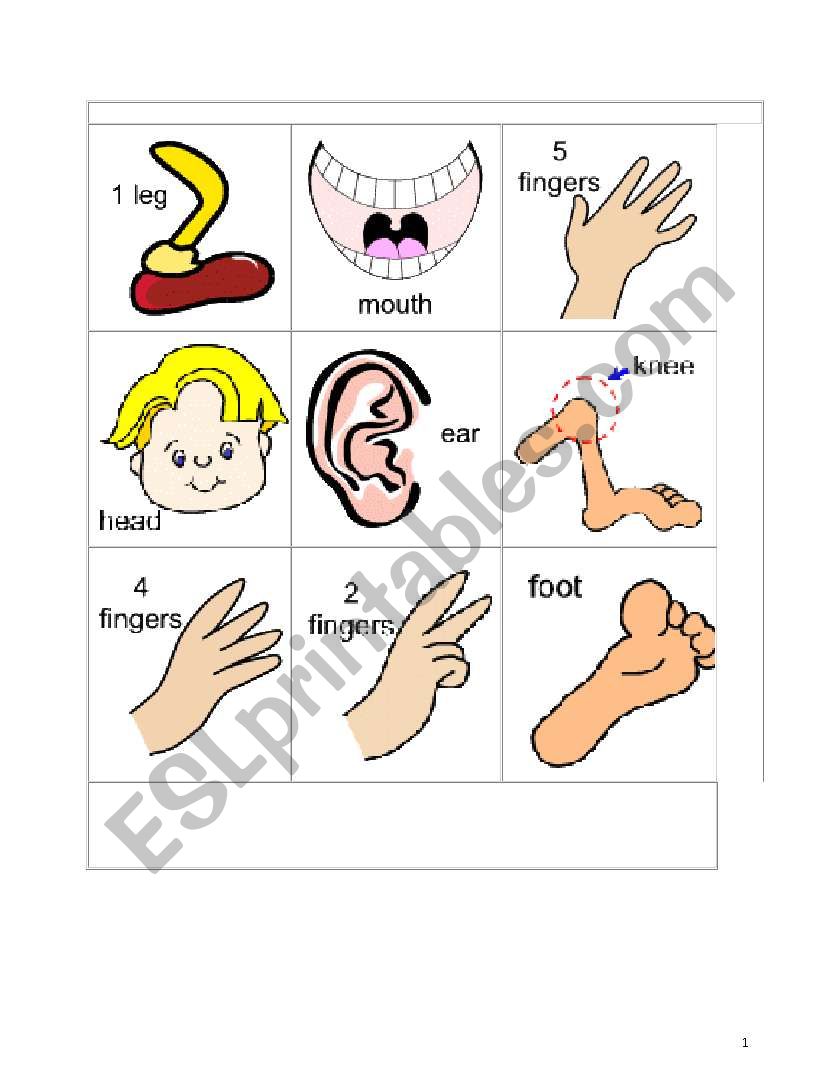 bingo body parts worksheet