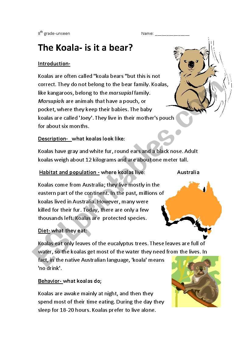 the koala-is it a bear worksheet